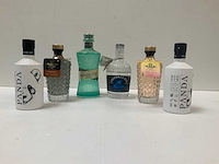 Gin (6x) - afbeelding 1 van  7