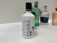 Gin (6x) - afbeelding 2 van  7