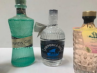 Gin (6x) - afbeelding 5 van  7
