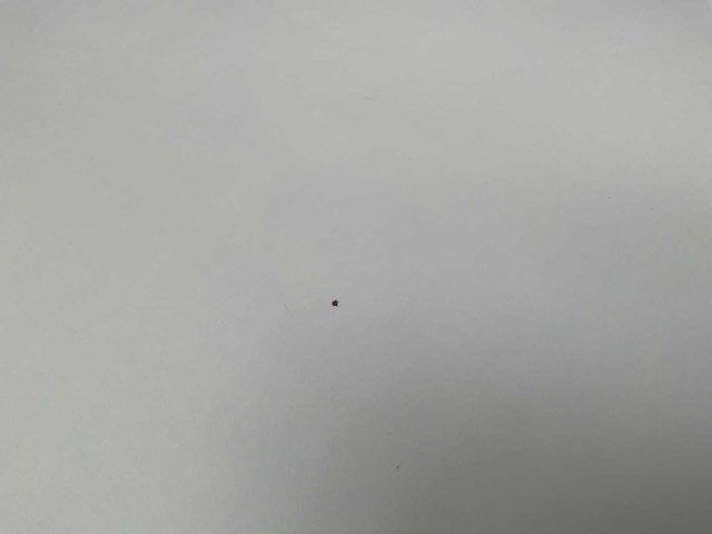 Gispen bureautafel 240x70 (2x) - afbeelding 7 van  8