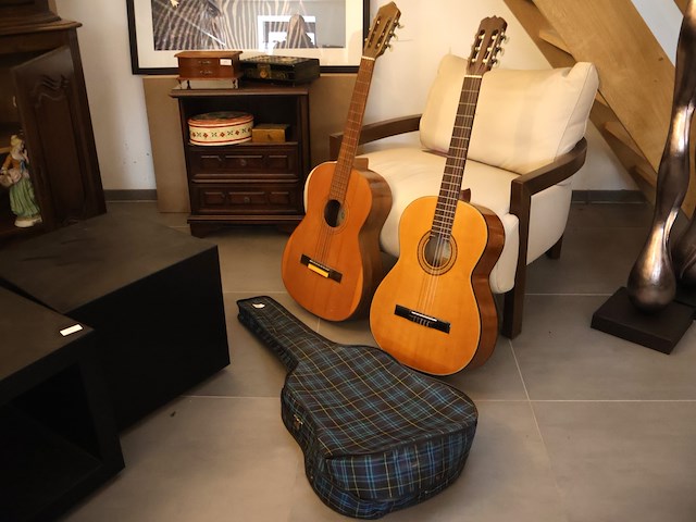 Gitaar (x2) - afbeelding 1 van  8