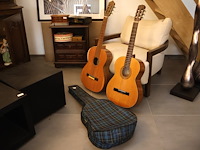 Gitaar (x2) - afbeelding 1 van  8