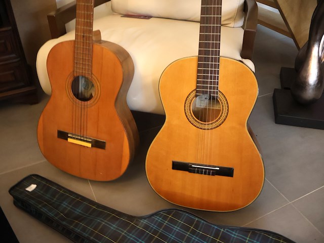 Gitaar (x2) - afbeelding 2 van  8