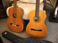 Gitaar (x2) - afbeelding 2 van  8