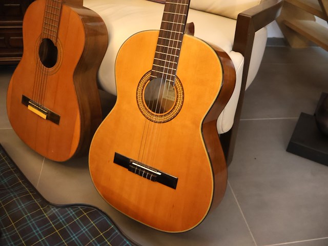 Gitaar (x2) - afbeelding 3 van  8