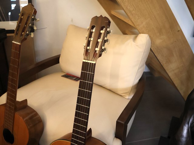 Gitaar (x2) - afbeelding 4 van  8