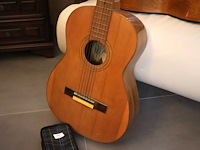 Gitaar (x2) - afbeelding 6 van  8