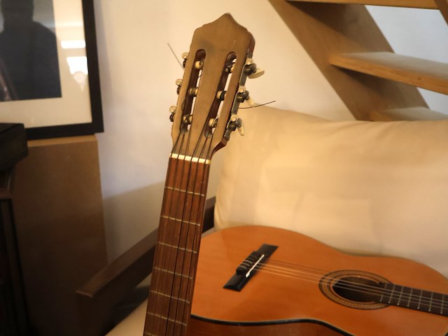 Gitaar (x2) - afbeelding 7 van  8