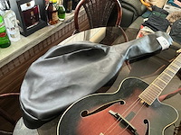 Gitaar - afbeelding 1 van  1