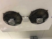 Glacial verdamper - afbeelding 1 van  1