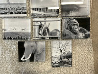 Glasprints/fotoblokken (11x) - afbeelding 4 van  4