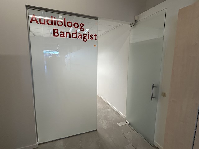 Glaswand met pivotdeur - afbeelding 1 van  7