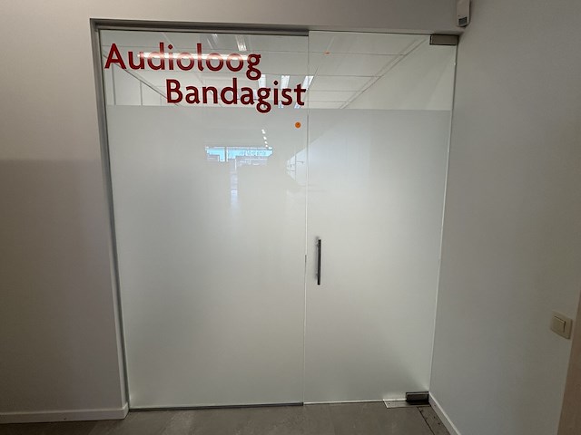 Glaswand met pivotdeur - afbeelding 3 van  7