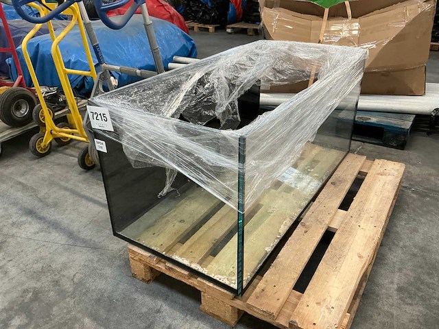 Glazen aquarium - afbeelding 1 van  4