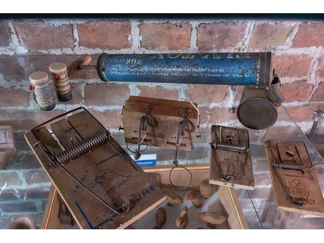 Glazen kast 2_muizen- en rattenvallen, spuitbus insecten - afbeelding 1 van  3