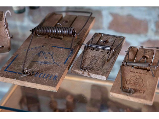 Glazen kast 2_muizen- en rattenvallen, spuitbus insecten - afbeelding 2 van  3