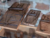 Glazen kast 2_muizen- en rattenvallen, spuitbus insecten - afbeelding 2 van  3