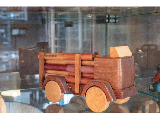 Glazen kast 3_3 houten auto's - afbeelding 2 van  7