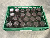 Glazen paars (39x) en blauw (11x) - afbeelding 3 van  9