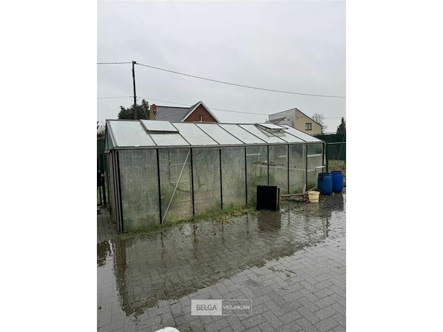 Glazen serre l ±6m x b3,1 x h2,5 m - afbeelding 1 van  6