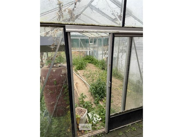 Glazen serre l ±6m x b3,1 x h2,5 m - afbeelding 2 van  6