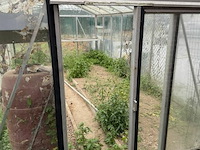 Glazen serre l ±6m x b3,1 x h2,5 m - afbeelding 2 van  6