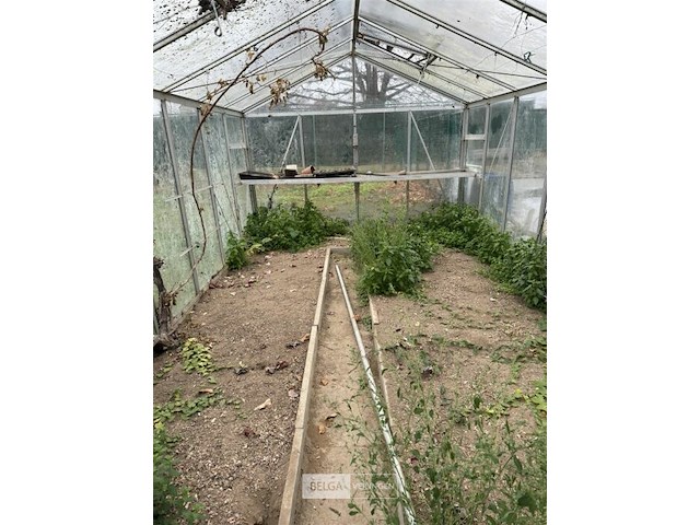 Glazen serre l ±6m x b3,1 x h2,5 m - afbeelding 3 van  6