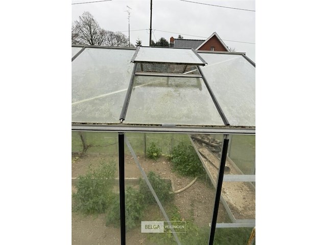 Glazen serre l ±6m x b3,1 x h2,5 m - afbeelding 5 van  6