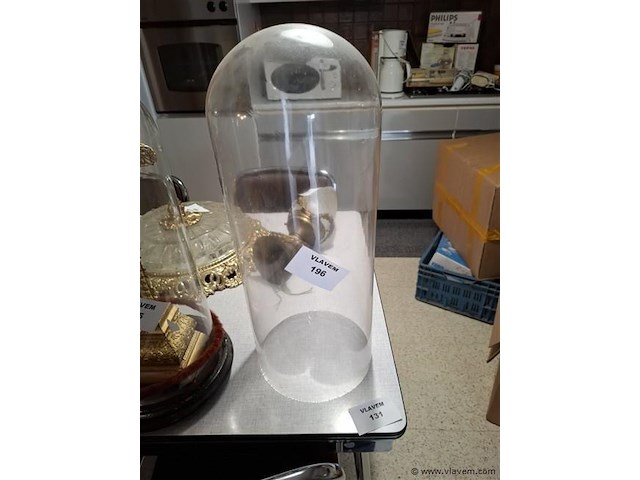 Glazen stolp - afbeelding 1 van  1