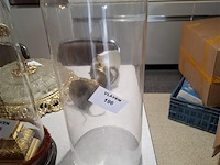 Glazen stolp - afbeelding 1 van  1