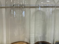 Glazen stolpen en sokkels - afbeelding 2 van  5