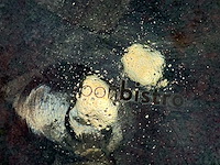 Gleierwerk - afbeelding 13 van  13