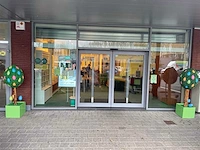 Globall concept - paasboompjes 1m50 - paasboompjes (6x) - afbeelding 2 van  4