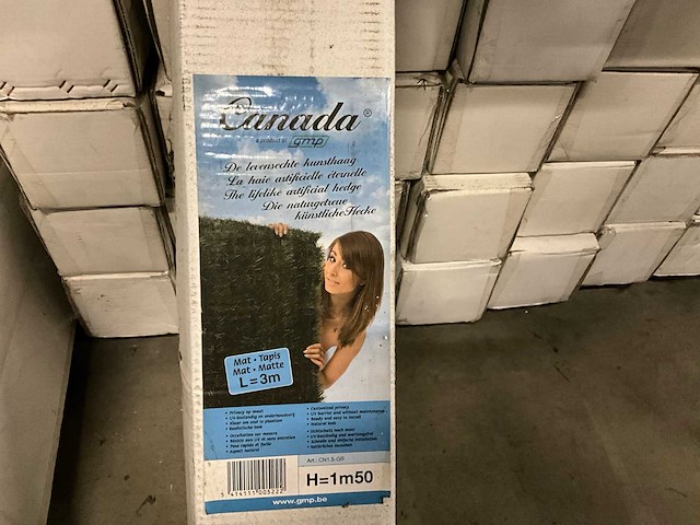 Gmp kunsthaag (75x) - afbeelding 5 van  12