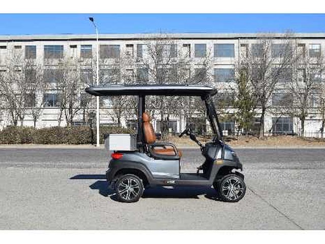 Golf buggy : mat grijs - afbeelding 2 van  2