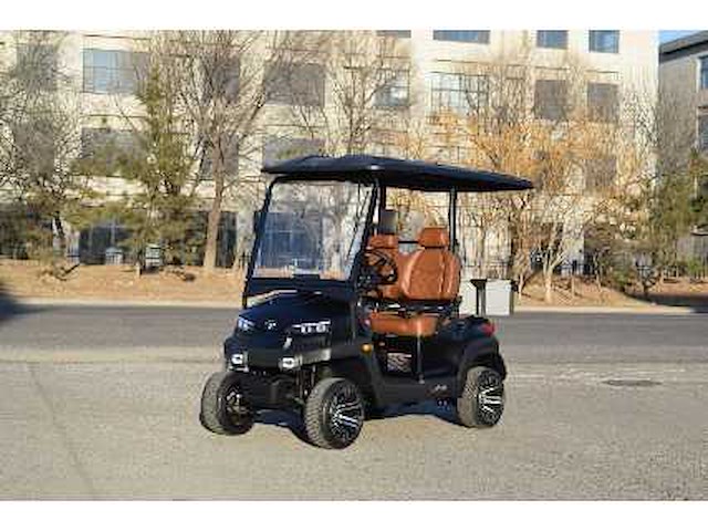 Golf buggy : mat zwart - afbeelding 1 van  3