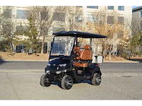 Golf buggy : mat zwart - afbeelding 1 van  3