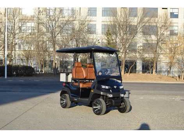 Golf buggy : mat zwart - afbeelding 2 van  3