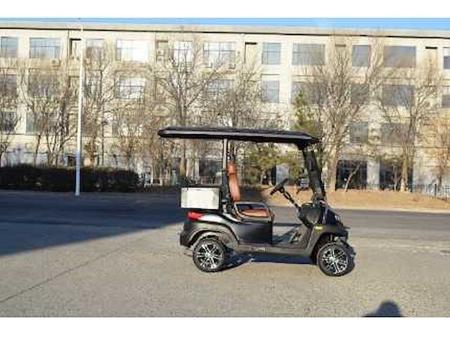 Golf buggy : mat zwart - afbeelding 3 van  3