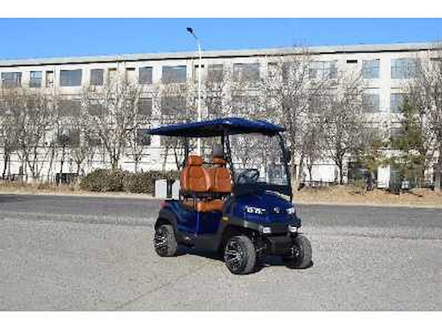 Golf buggy : metallic blauw - afbeelding 1 van  4