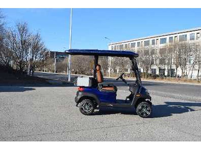 Golf buggy : metallic blauw - afbeelding 2 van  4