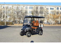 Golf buggy : metallic grijs - afbeelding 3 van  5