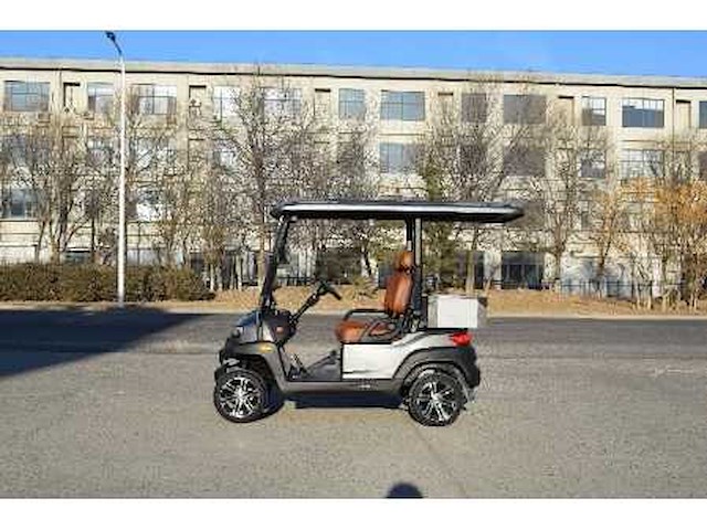 Golf buggy : metallic grijs - afbeelding 4 van  5