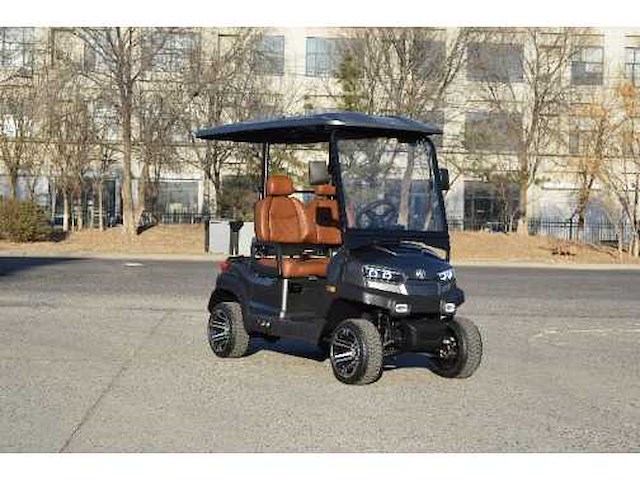 Golf buggy : metallic grijs - afbeelding 1 van  3