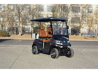 Golf buggy : metallic grijs