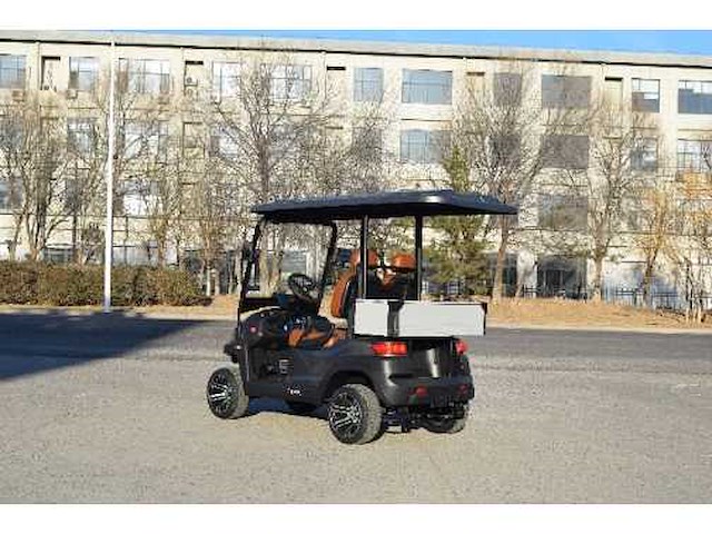 Golf buggy : metallic grijs - afbeelding 2 van  3