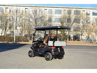 Golf buggy : metallic grijs - afbeelding 2 van  3