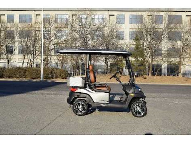 Golf buggy : metallic grijs - afbeelding 3 van  3