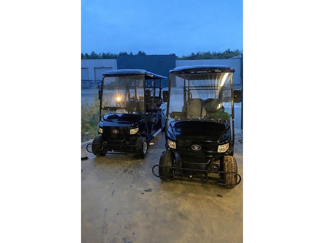 Golf car - afbeelding 7 van  13