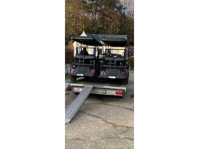 Golf car - afbeelding 8 van  13